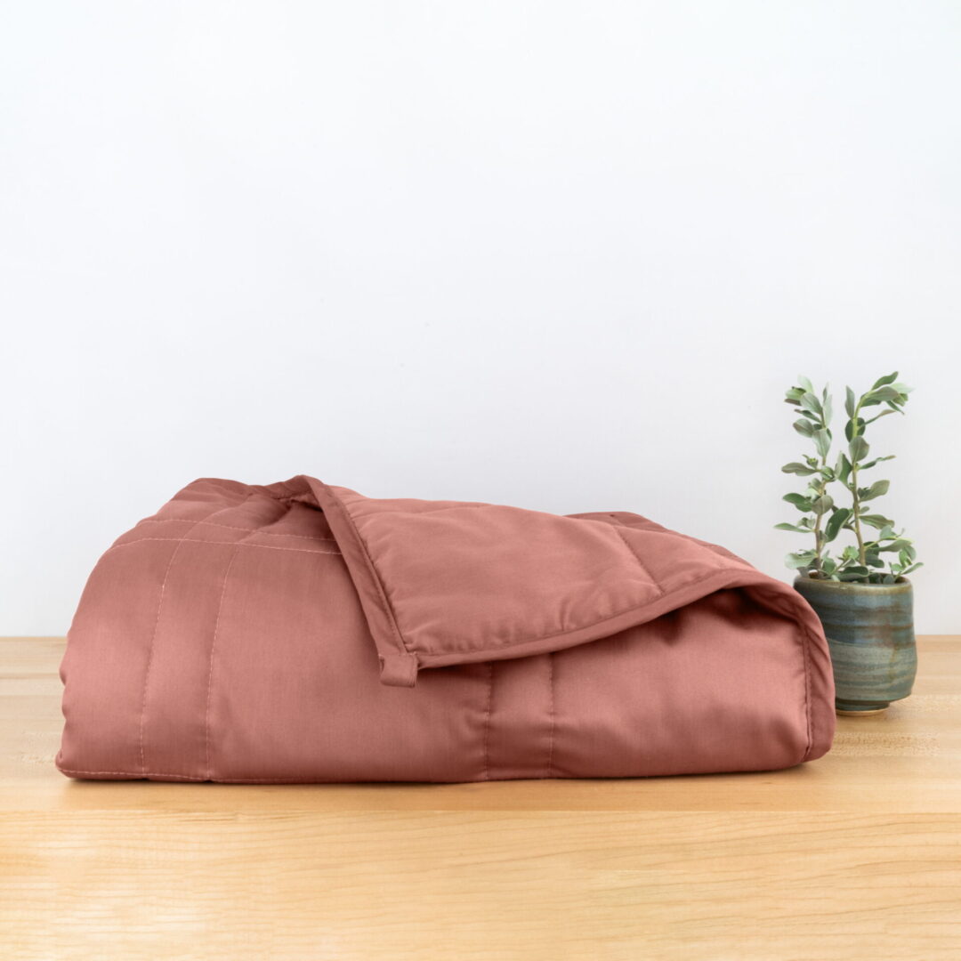 a peach color blanket and a plant